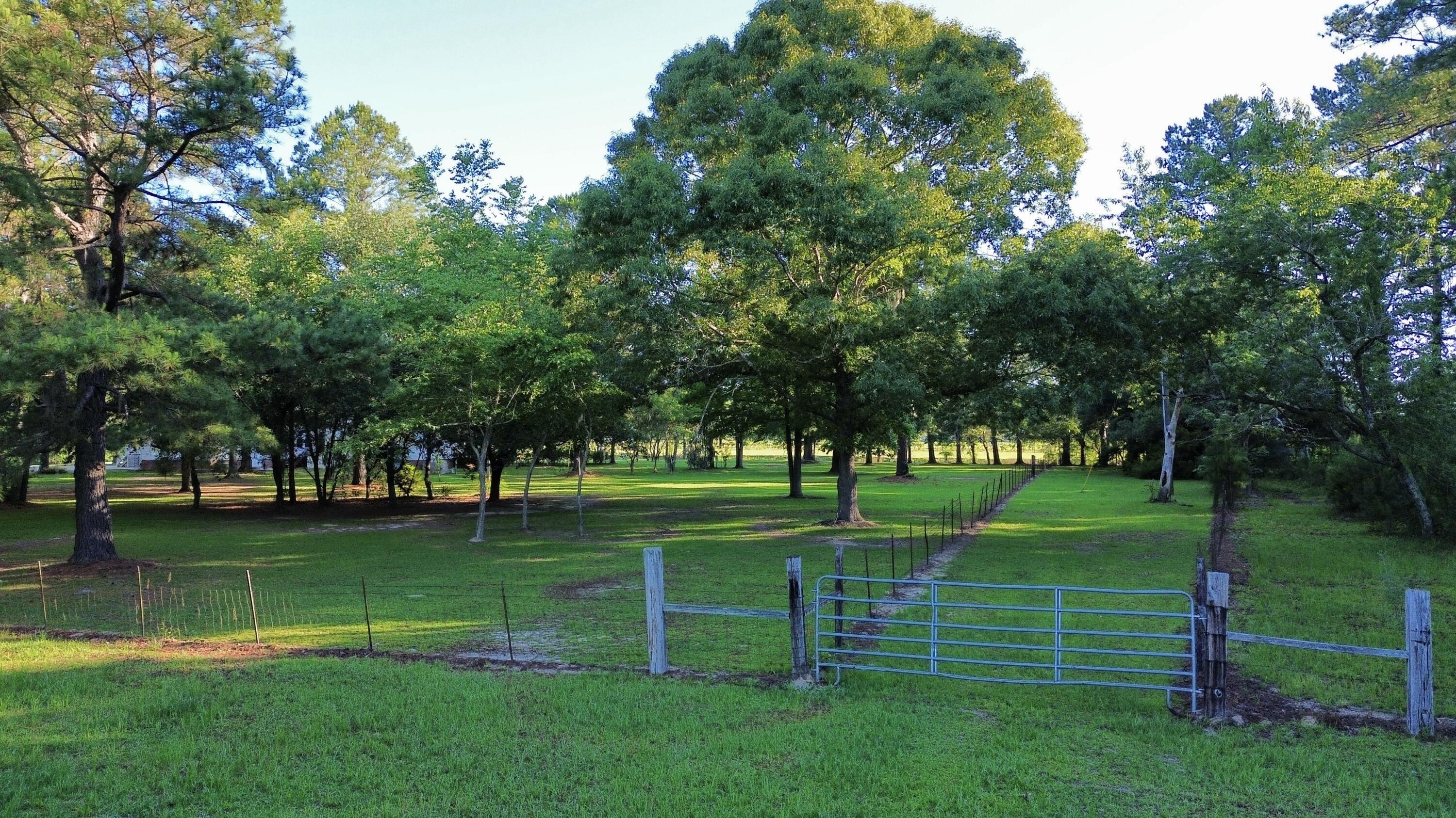 701 Truluck Vineyard Road Lake City, SC 29560 - Photo 46 of 90 47