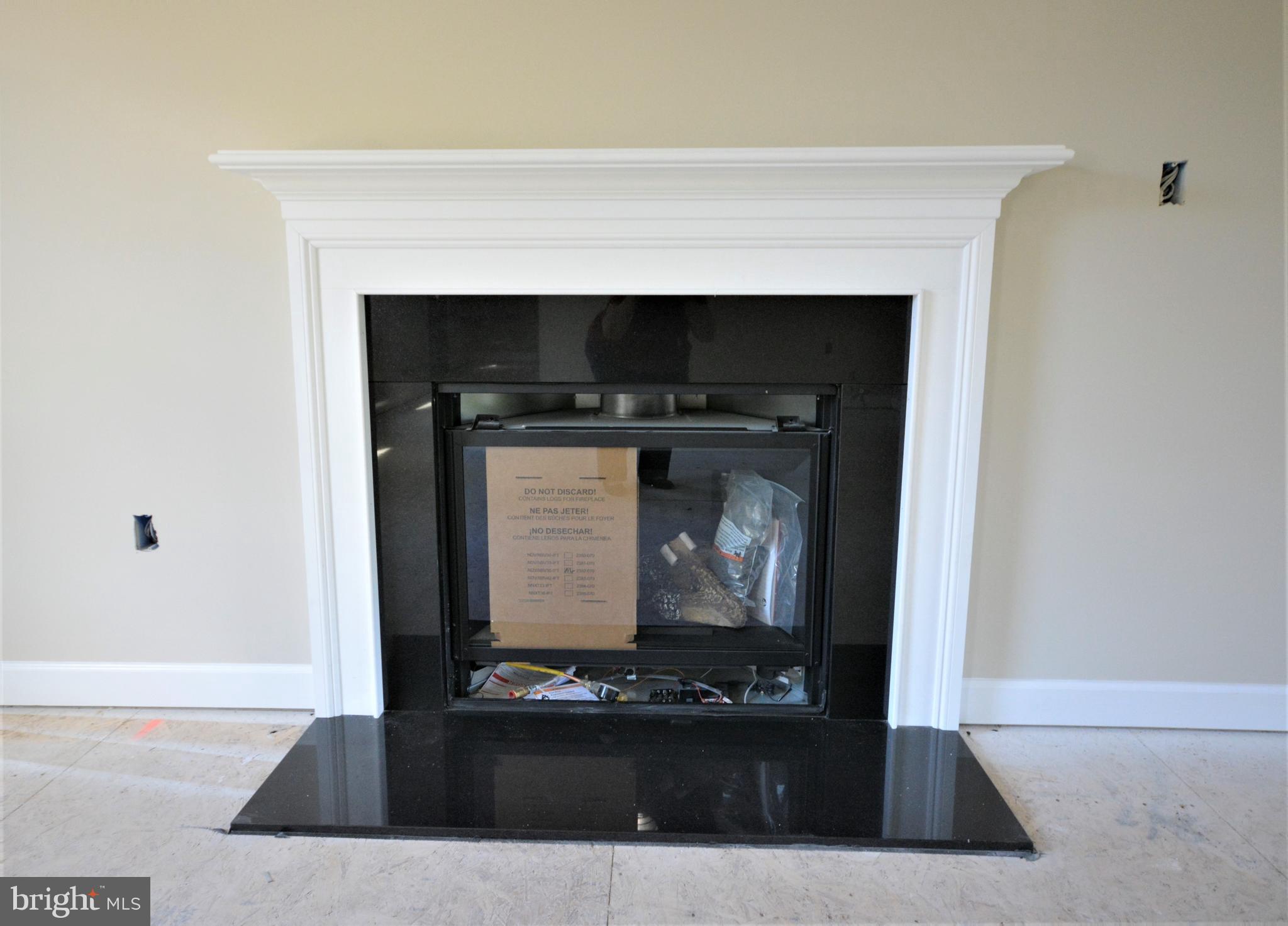 Lower Valley Road Strasburg, VA 22657 - Photo 9 of 37 GAS FIREPLACE