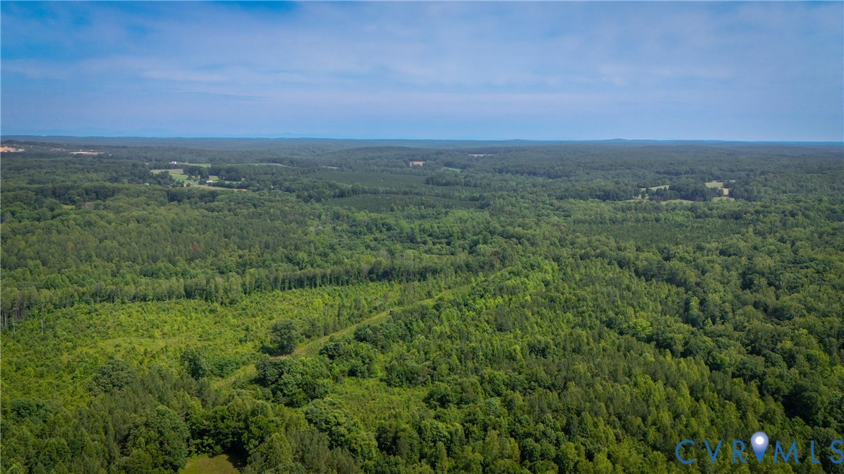0 Chellowe Road Dillwyn, VA 23936 - Photo 51 of 52 an aerial view of houses covered in trees