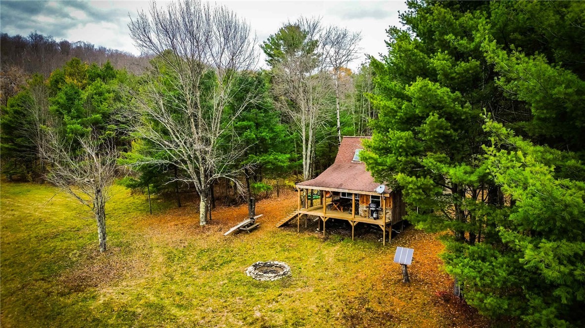 Dawes Hill Road Newfield, NY 14867 - Photo 3 of 30