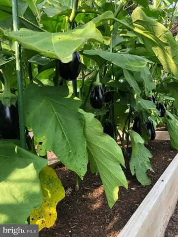 $1,339,000 | 15700 Trapshire Court, Waterford, VA 20197