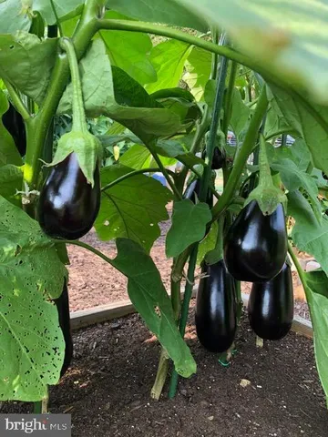 $1,339,000 | 15700 Trapshire Court, Waterford, VA 20197