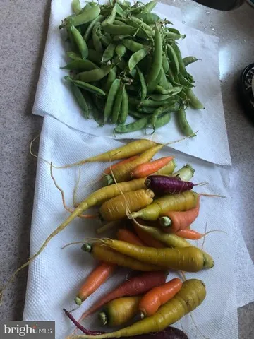 $1,339,000 | 15700 Trapshire Court, Waterford, VA 20197