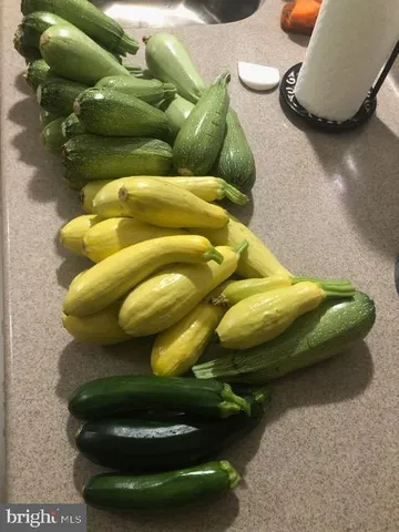 $1,339,000 | 15700 Trapshire Court, Waterford, VA 20197