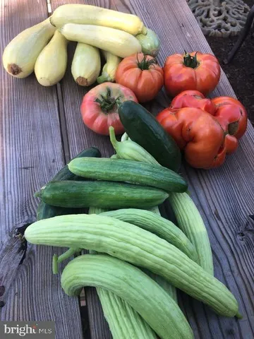 $1,339,000 | 15700 Trapshire Court, Waterford, VA 20197