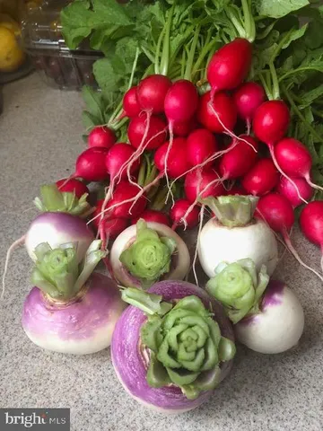 $1,339,000 | 15700 Trapshire Court, Waterford, VA 20197