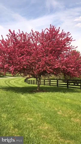 $1,339,000 | 15700 Trapshire Court, Waterford, VA 20197