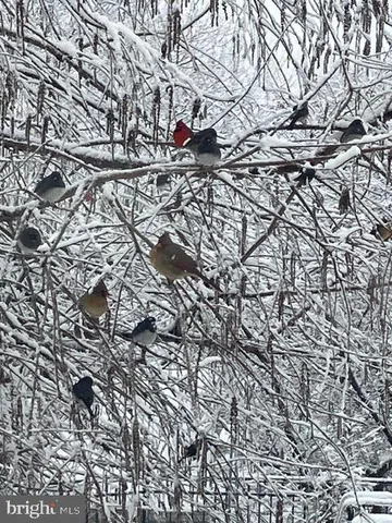 $1,339,000 | 15700 Trapshire Court, Waterford, VA 20197