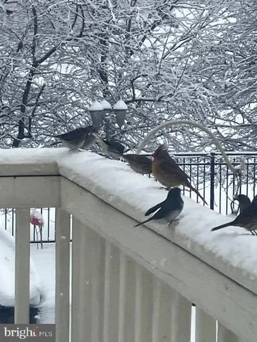 $1,339,000 | 15700 Trapshire Court, Waterford, VA 20197