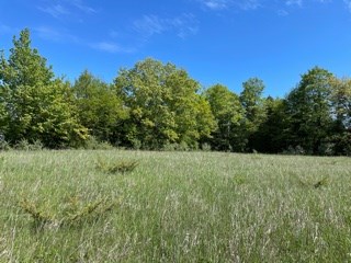 T/b/d Fieldcrest Road Sister Bay, WI 54234 - Photo 3 of 15