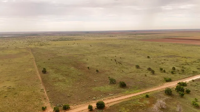 a view of beach and ocean