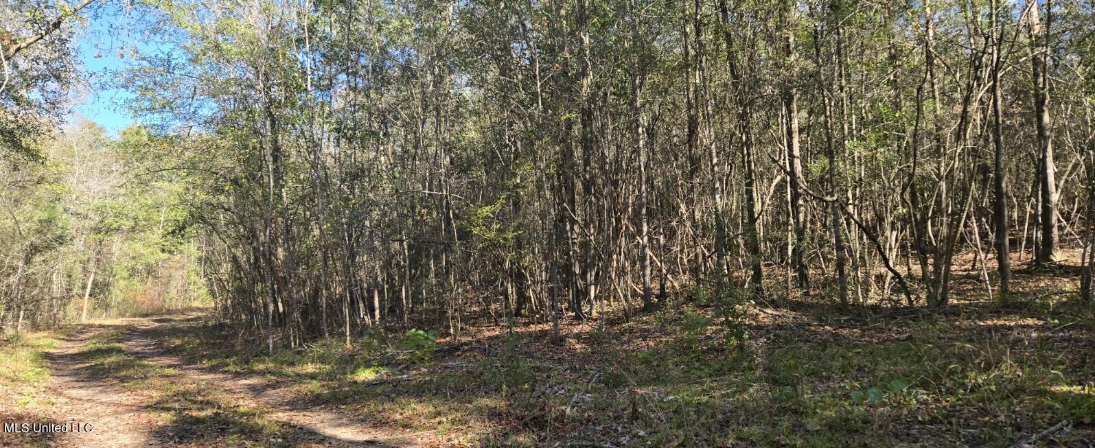 10 10 Mile Creek Road Foxworth, MS 39483 - Photo 101 of 101 20251215_111338