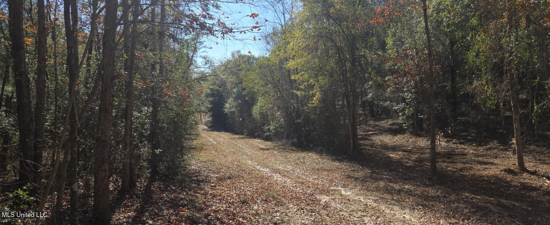 10 10 Mile Creek Road Foxworth, MS 39483 - Photo 11 of 101 20251215_105709