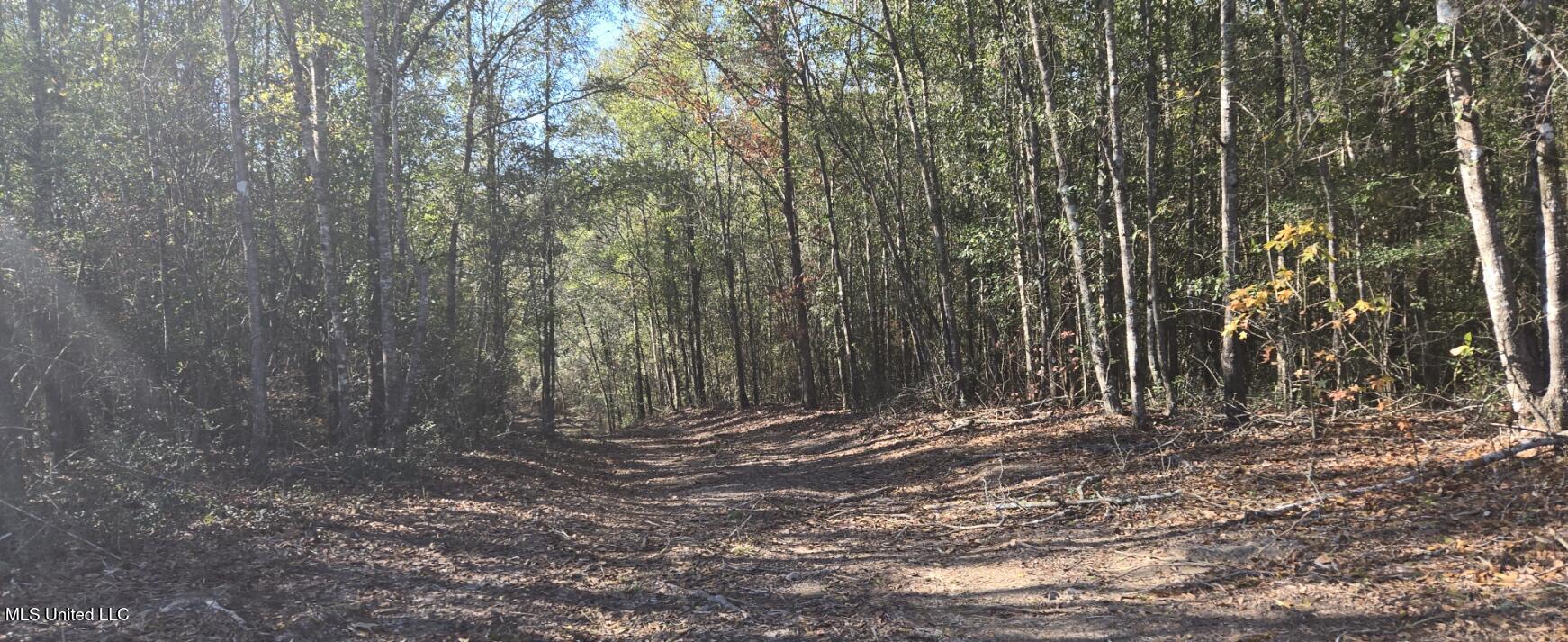 10 10 Mile Creek Road Foxworth, MS 39483 - Photo 12 of 101 20251215_103326