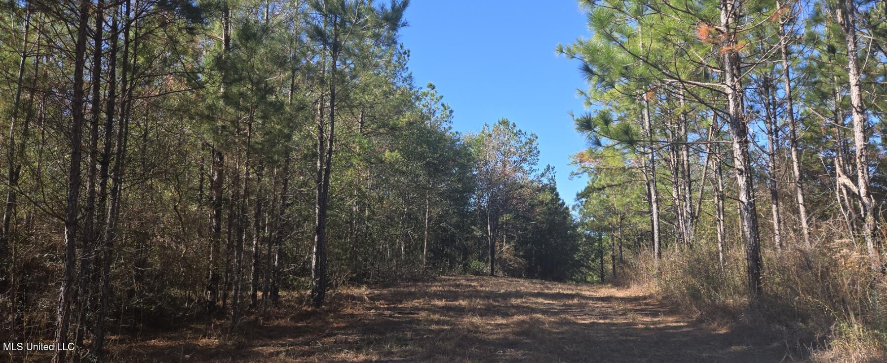 10 10 Mile Creek Road Foxworth, MS 39483 - Photo 14 of 101 20251215_104216