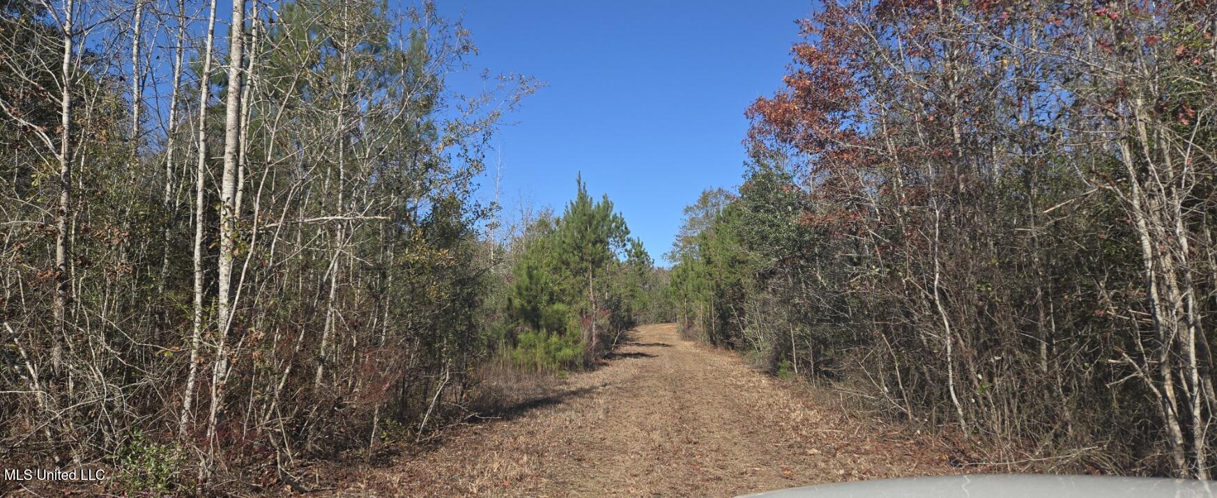10 10 Mile Creek Road Foxworth, MS 39483 - Photo 15 of 101 20251215_103748
