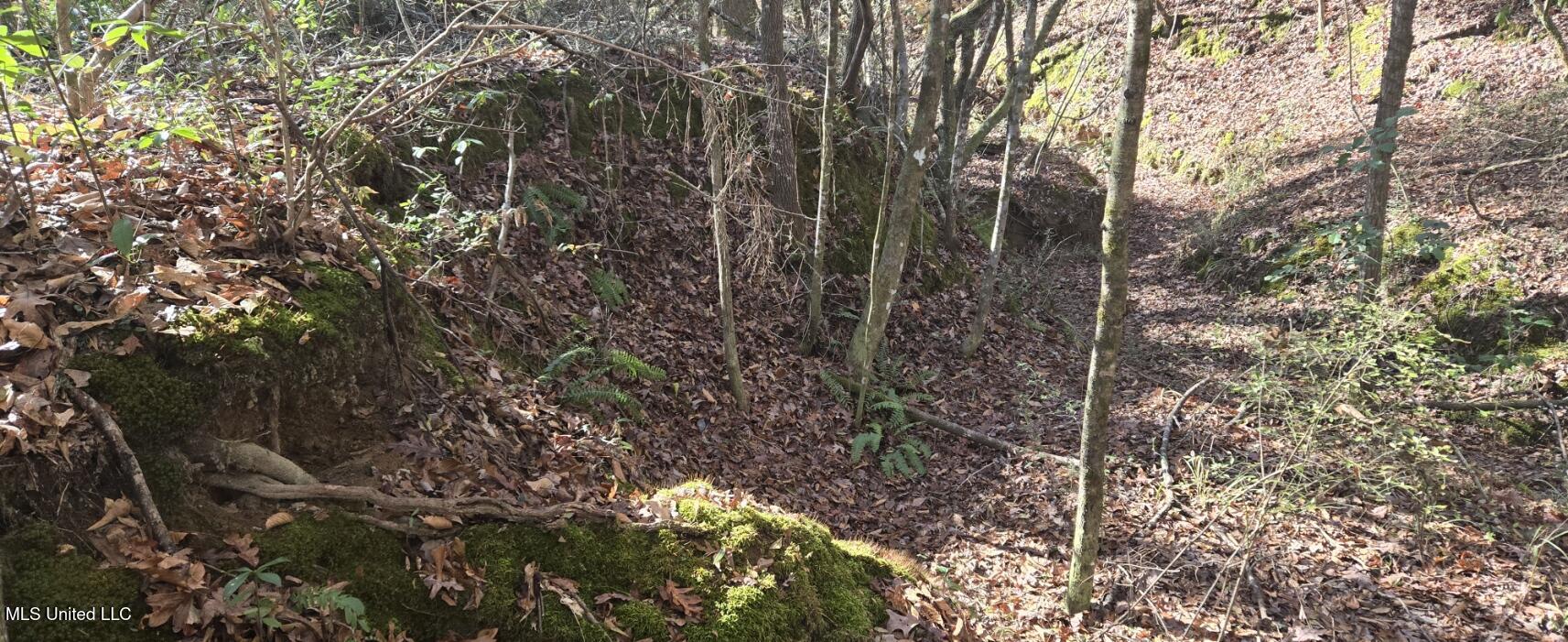 10 10 Mile Creek Road Foxworth, MS 39483 - Photo 17 of 101 20251215_111455