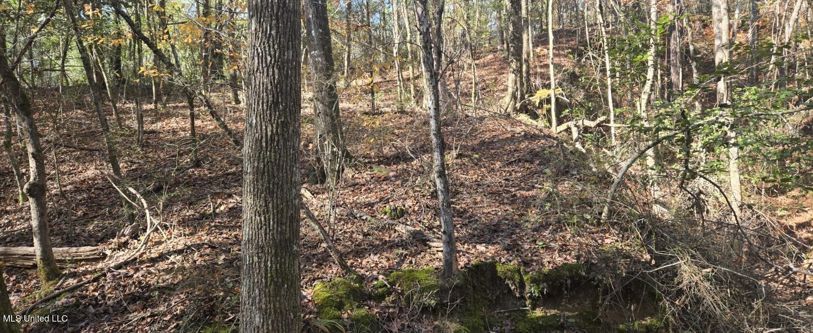 10 10 Mile Creek Road Foxworth, MS 39483 - Photo 18 of 101 20251215_111653