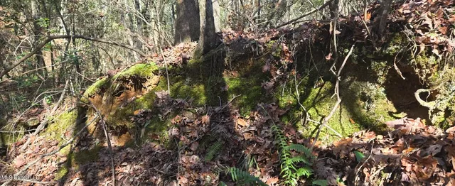 $139,000 | 10 10 Mile Creek Road, Foxworth, MS 39483