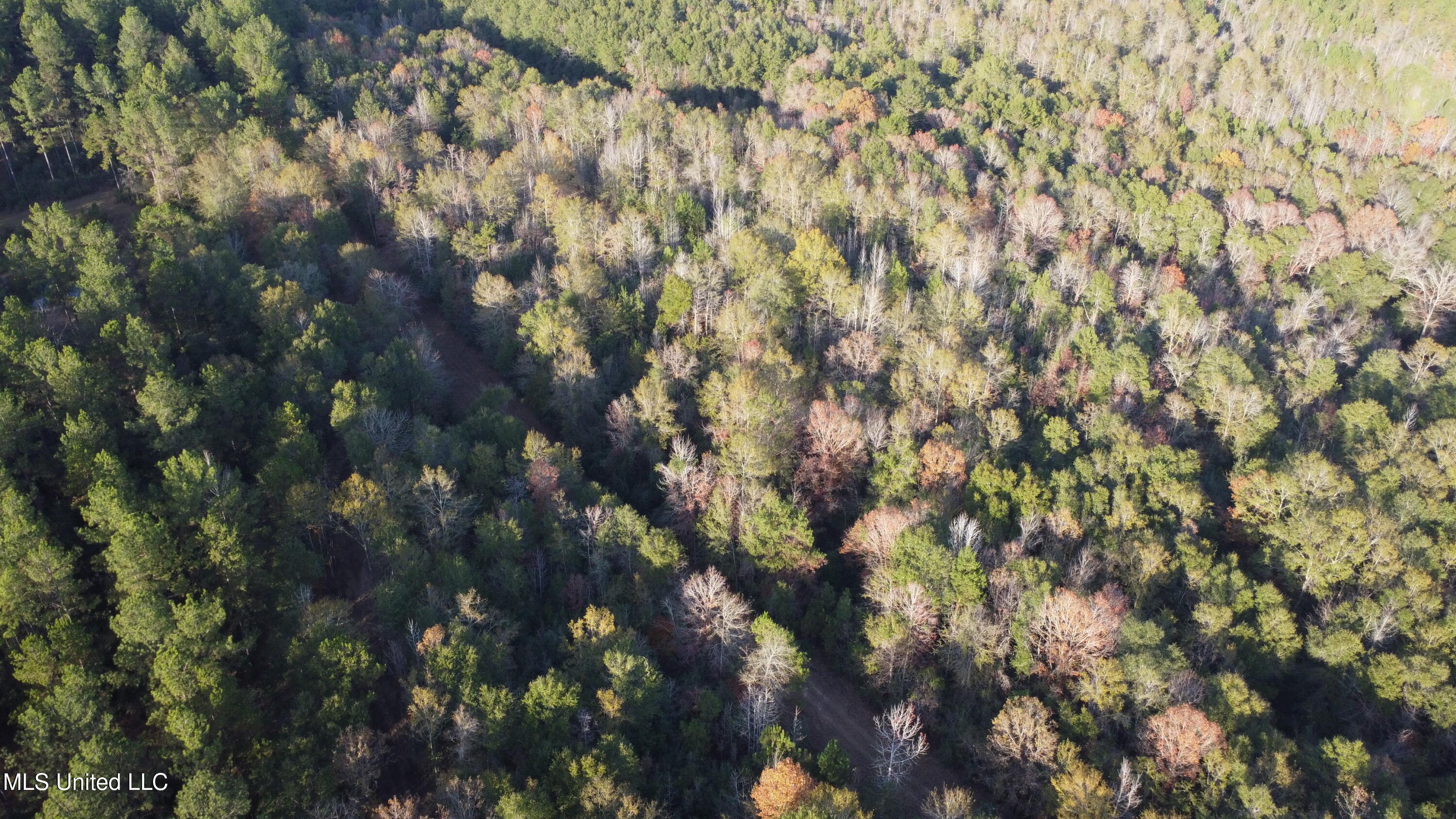 10 10 Mile Creek Road Foxworth, MS 39483 - Photo 21 of 101 DJI_0662