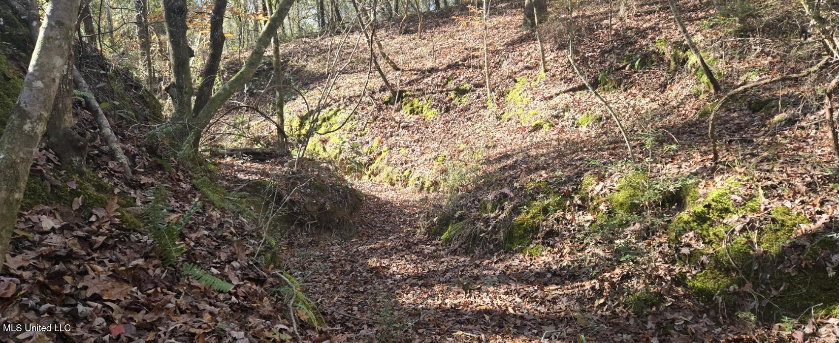 10 10 Mile Creek Road Foxworth, MS 39483 - Photo 22 of 101 20251215_111543