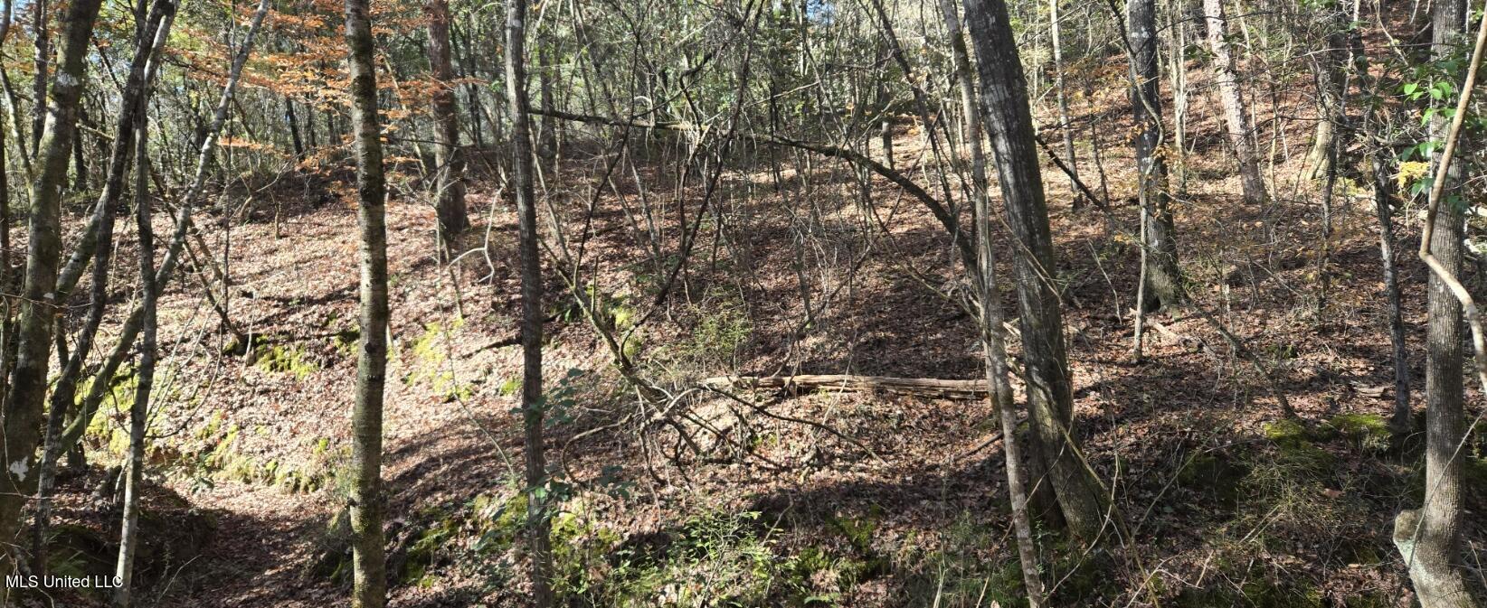 10 10 Mile Creek Road Foxworth, MS 39483 - Photo 23 of 101 20251215_111510