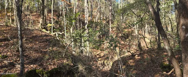 $139,000 | 10 10 Mile Creek Road, Foxworth, MS 39483