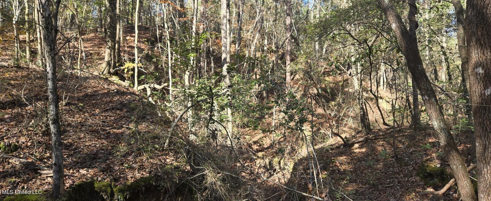 10 10 Mile Creek Road Foxworth, MS 39483 - Photo 24 of 101 20251215_111645