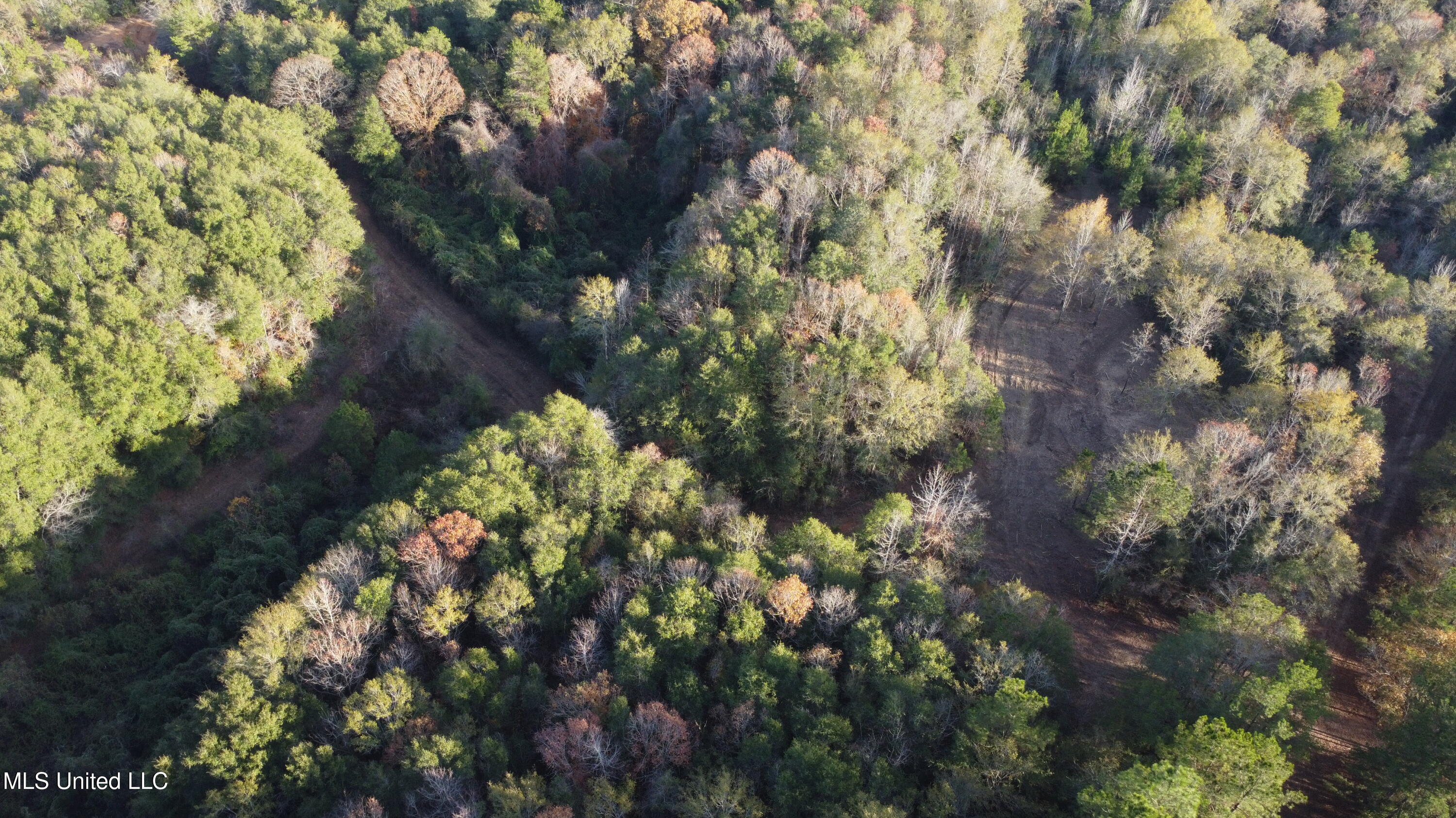 10 10 Mile Creek Road Foxworth, MS 39483 - Photo 25 of 101 DJI_0663