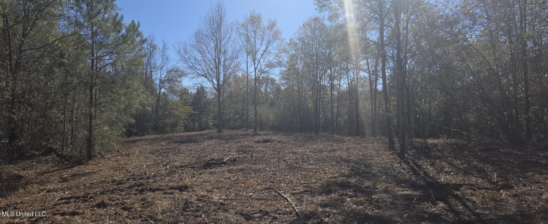 10 10 Mile Creek Road Foxworth, MS 39483 - Photo 26 of 101 20251215_105448