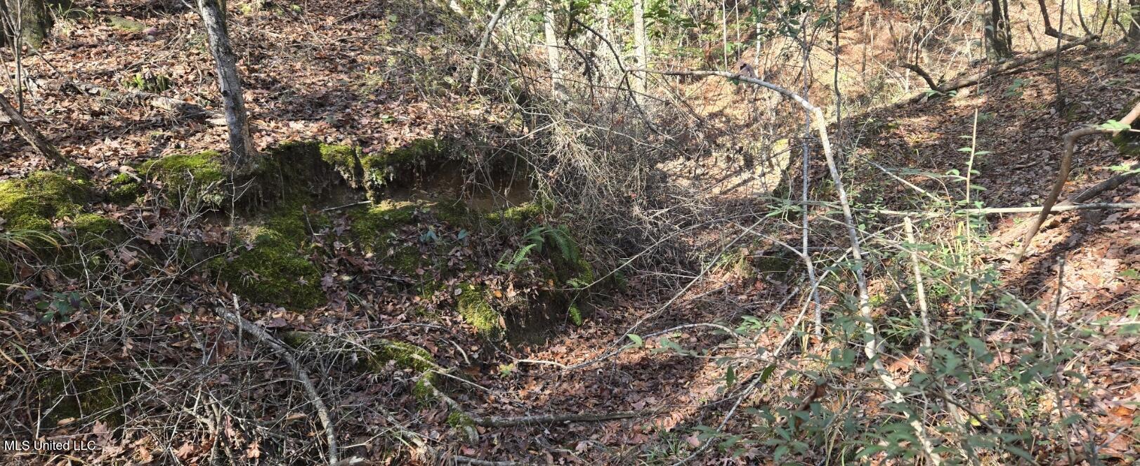 10 10 Mile Creek Road Foxworth, MS 39483 - Photo 27 of 101 20251215_111641