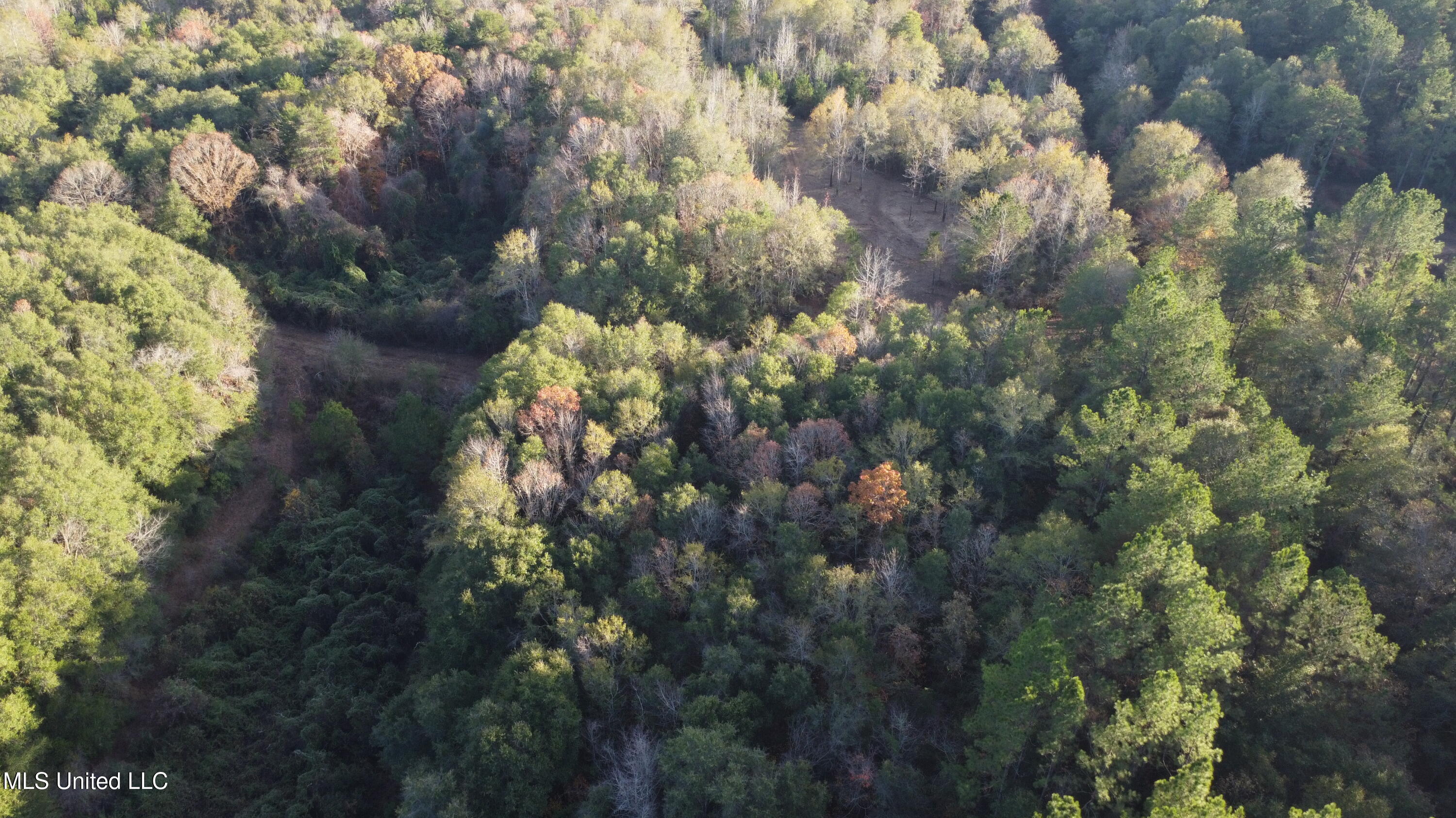 10 10 Mile Creek Road Foxworth, MS 39483 - Photo 28 of 101 DJI_0667