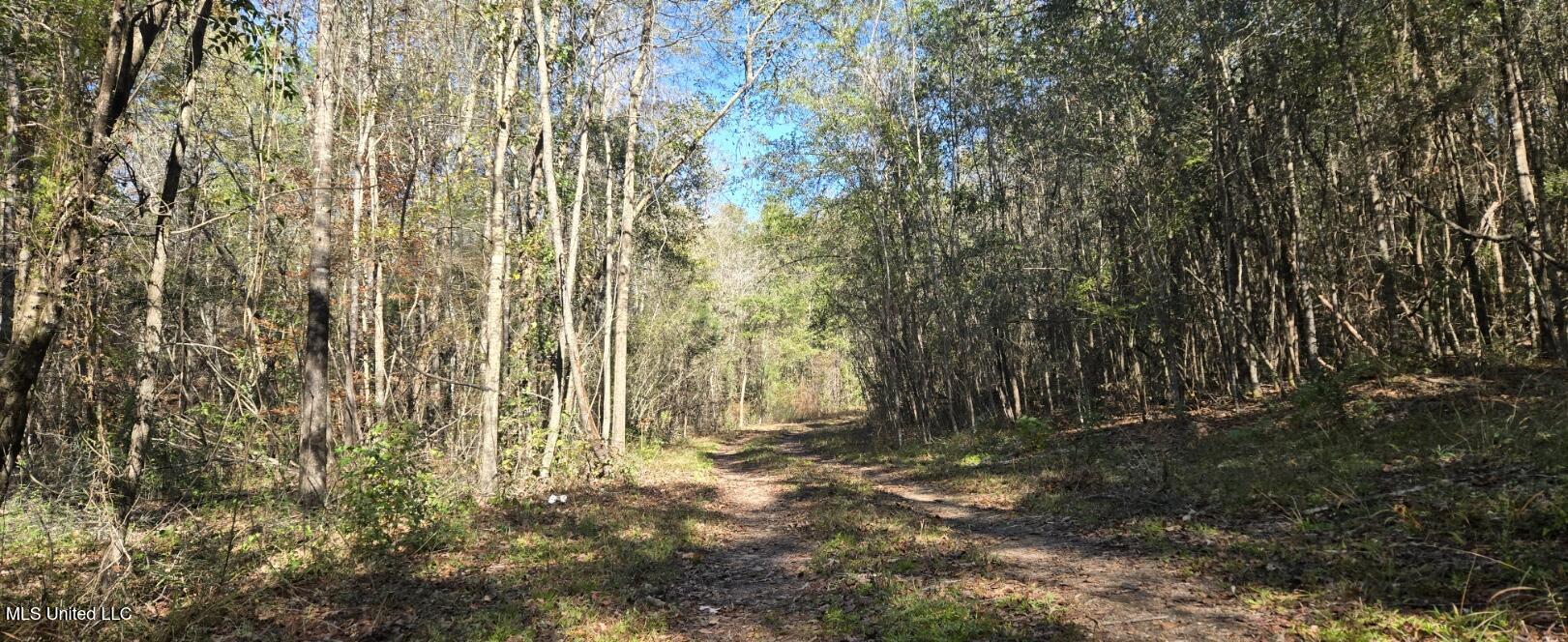 10 10 Mile Creek Road Foxworth, MS 39483 - Photo 29 of 101 20251215_111320