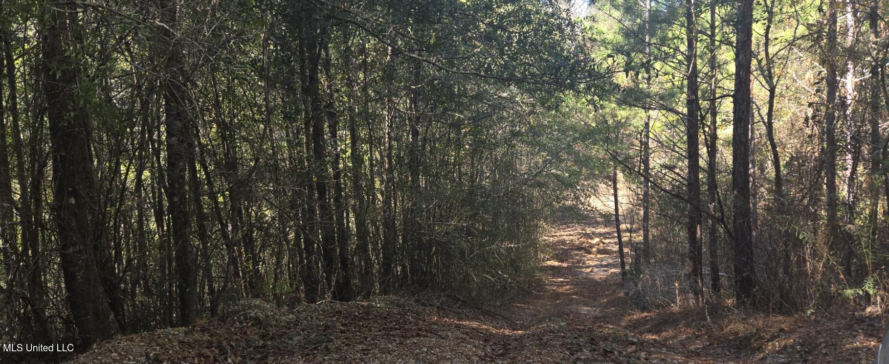 10 10 Mile Creek Road Foxworth, MS 39483 - Photo 30 of 101 20251215_105000