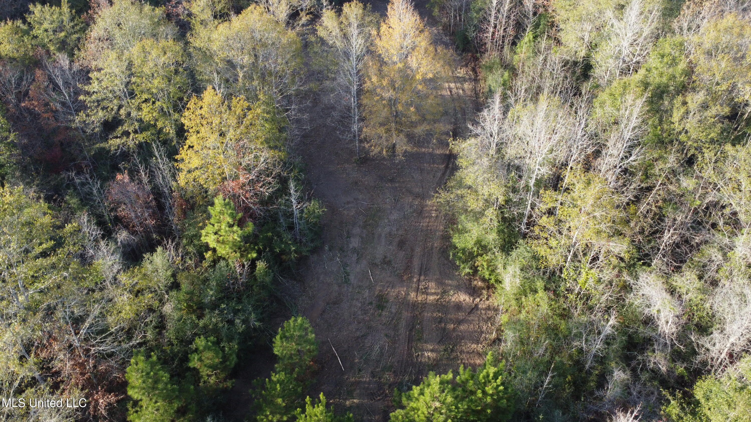 10 10 Mile Creek Road Foxworth, MS 39483 - Photo 3 of 101 DJI_0666