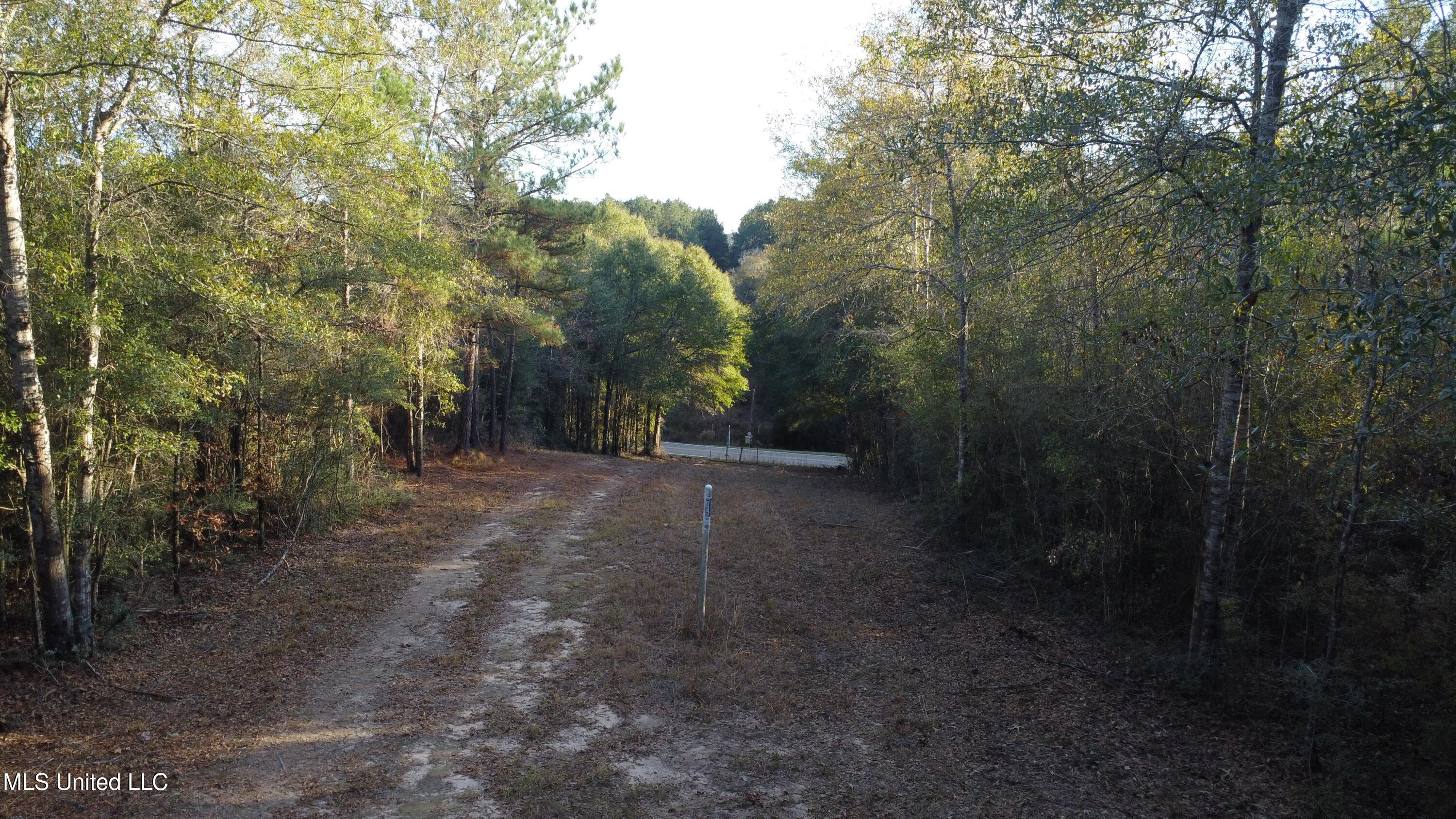 10 10 Mile Creek Road Foxworth, MS 39483 - Photo 31 of 101 DJI_0681