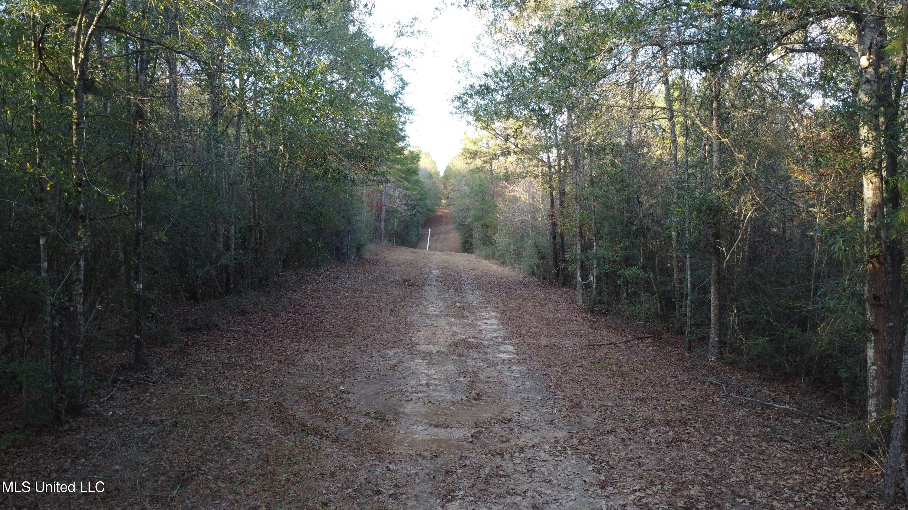 10 10 Mile Creek Road Foxworth, MS 39483 - Photo 32 of 101 DJI_0680