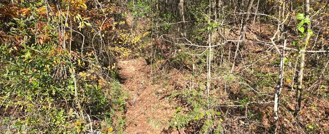 $139,000 | 10 10 Mile Creek Road, Foxworth, MS 39483