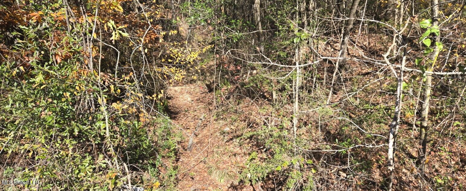 10 10 Mile Creek Road Foxworth, MS 39483 - Photo 33 of 101 20251215_111220