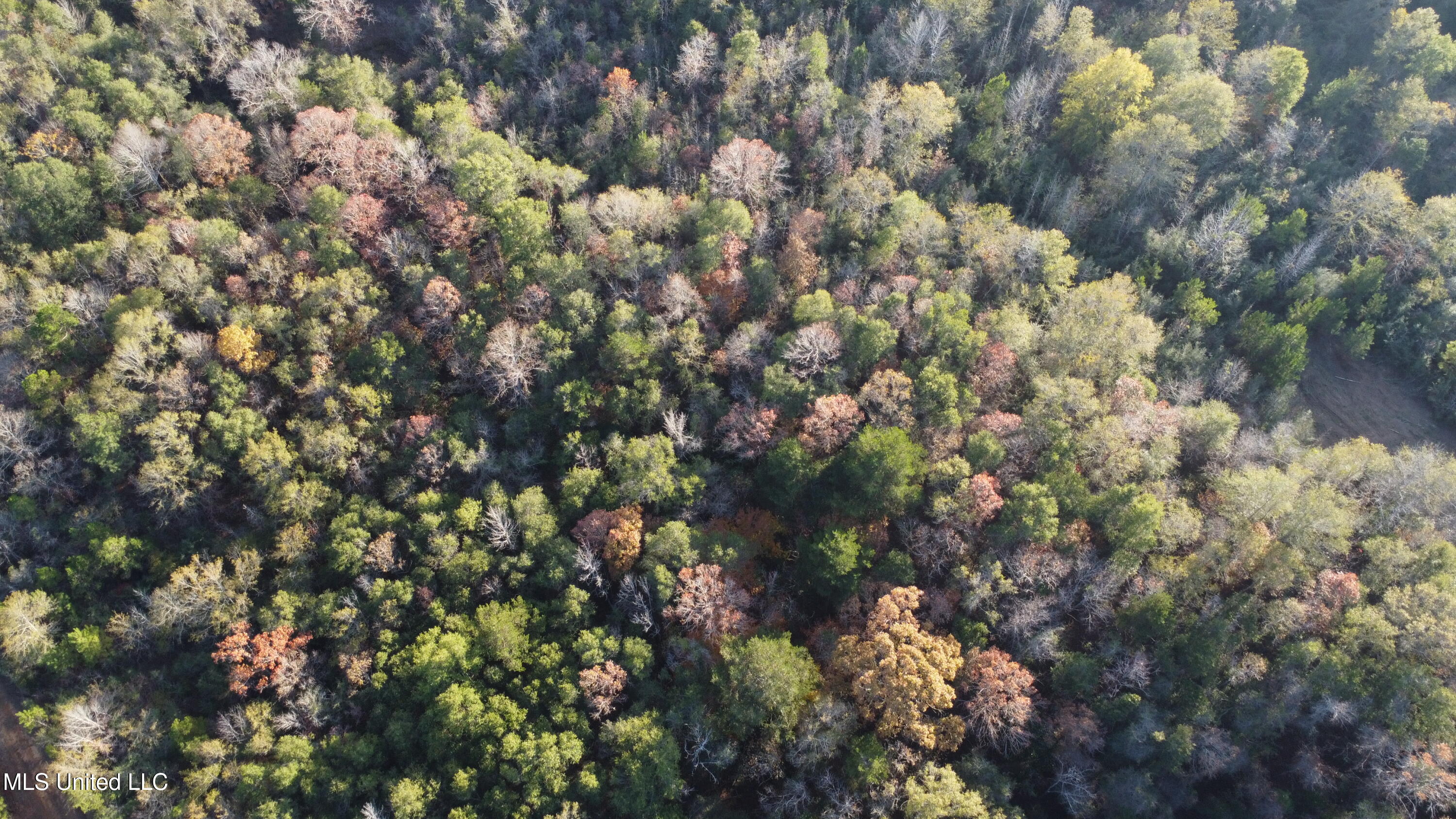 10 10 Mile Creek Road Foxworth, MS 39483 - Photo 34 of 101 DJI_0678