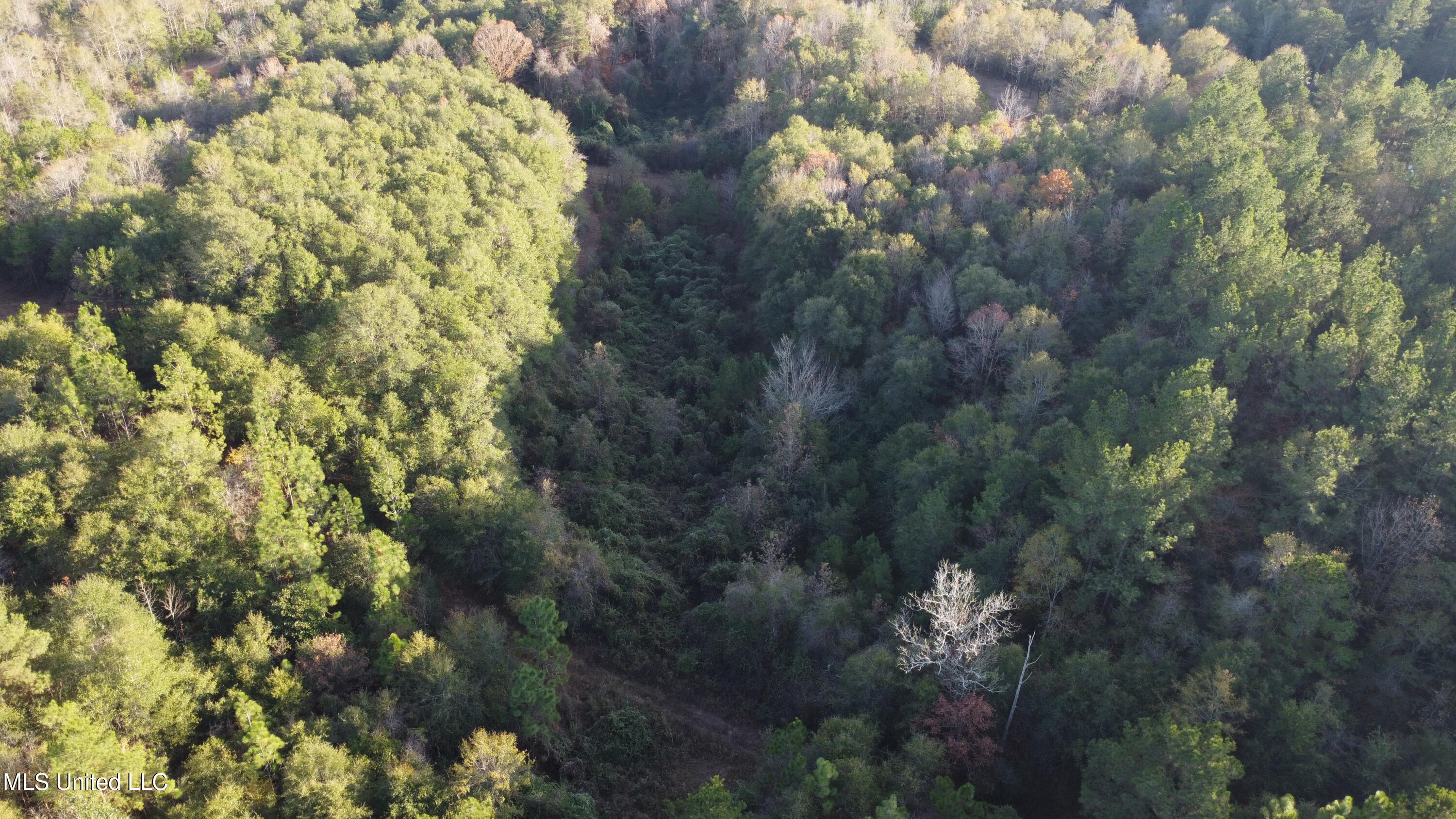 10 10 Mile Creek Road Foxworth, MS 39483 - Photo 35 of 101 DJI_0668