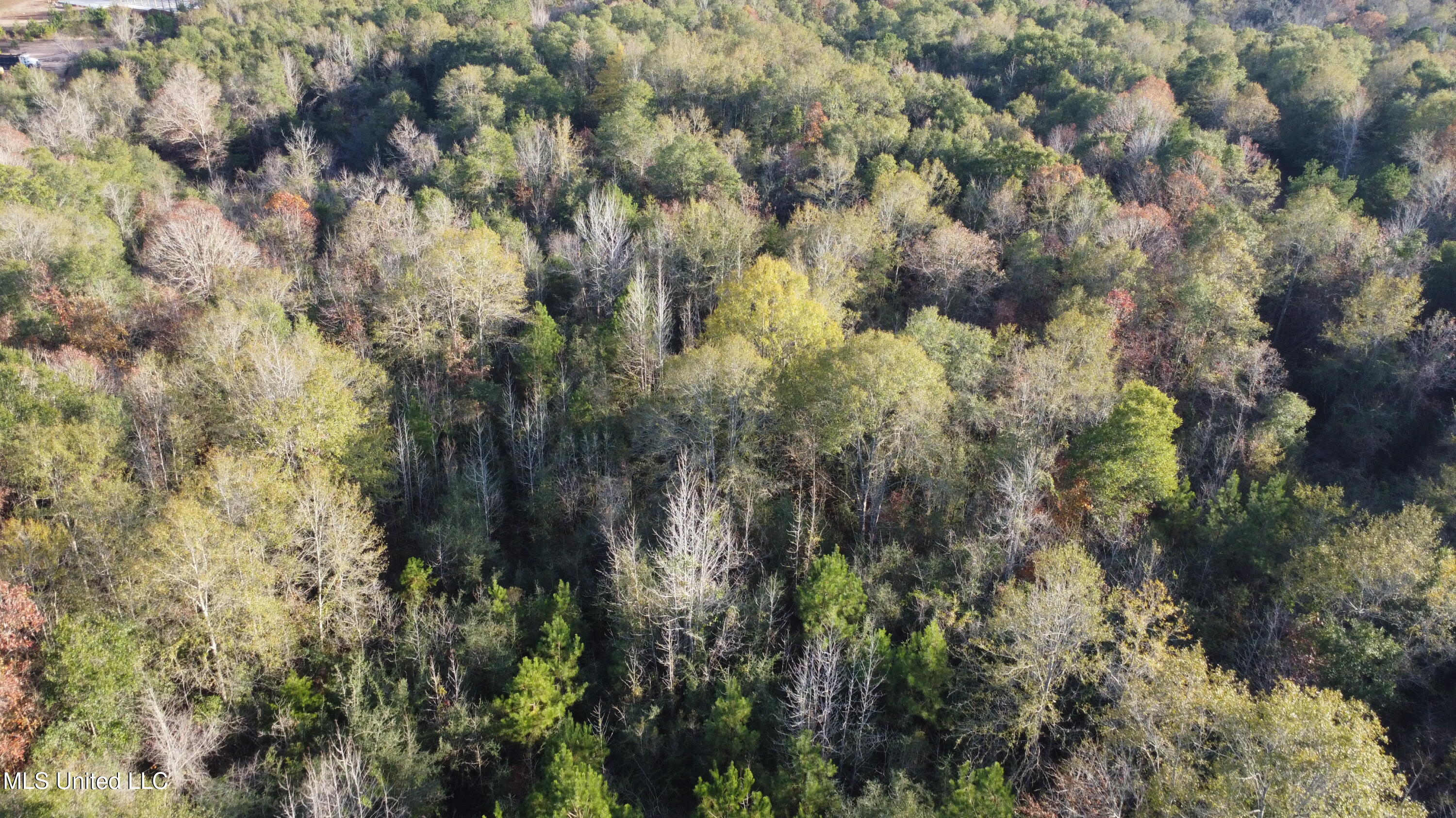 10 10 Mile Creek Road Foxworth, MS 39483 - Photo 36 of 101 DJI_0665