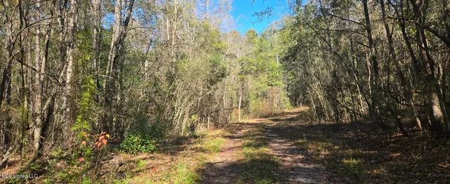$139,000 | 10 10 Mile Creek Road, Foxworth, MS 39483