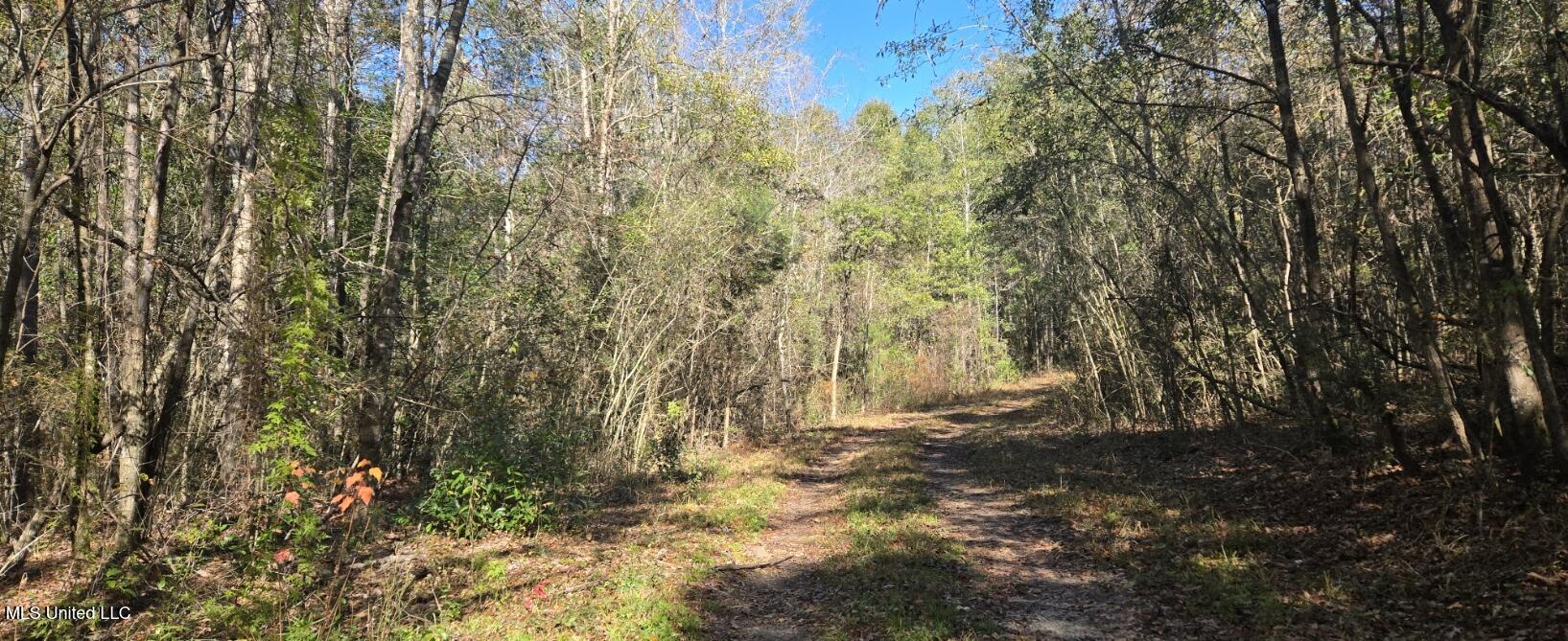 10 10 Mile Creek Road Foxworth, MS 39483 - Photo 37 of 101 20251215_111404