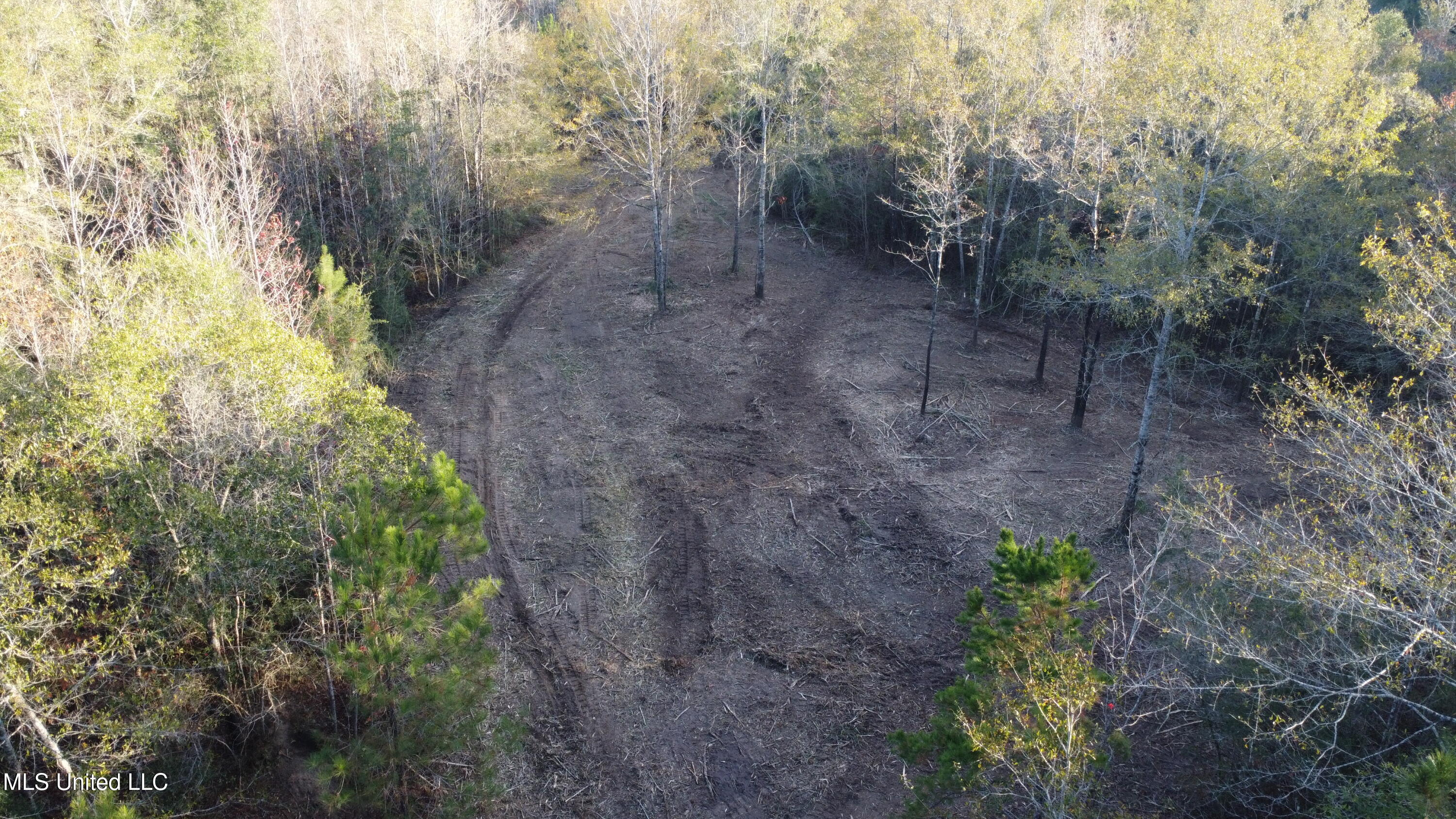 10 10 Mile Creek Road Foxworth, MS 39483 - Photo 4 of 101 DJI_0682