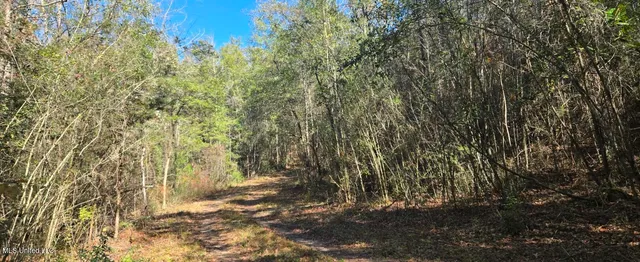 $139,000 | 10 10 Mile Creek Road, Foxworth, MS 39483