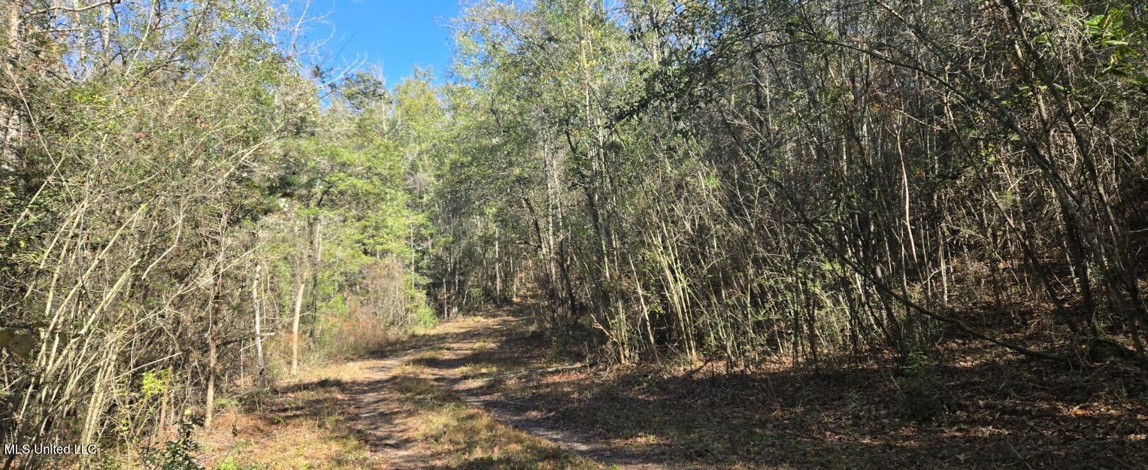 10 10 Mile Creek Road Foxworth, MS 39483 - Photo 41 of 101 20251215_111824