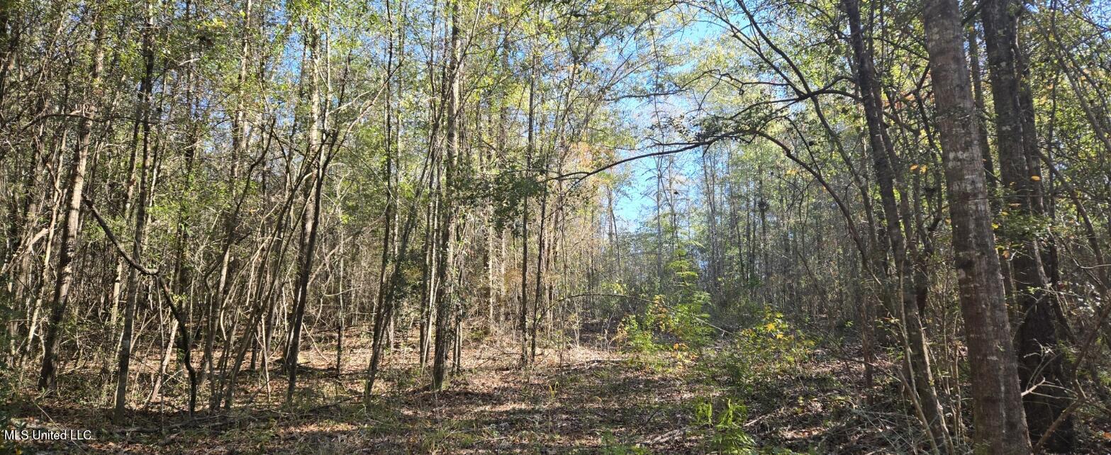 10 10 Mile Creek Road Foxworth, MS 39483 - Photo 42 of 101 20251215_111346