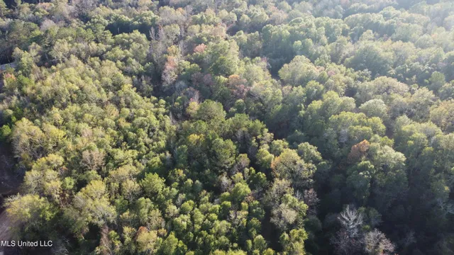 $139,000 | 10 10 Mile Creek Road, Foxworth, MS 39483