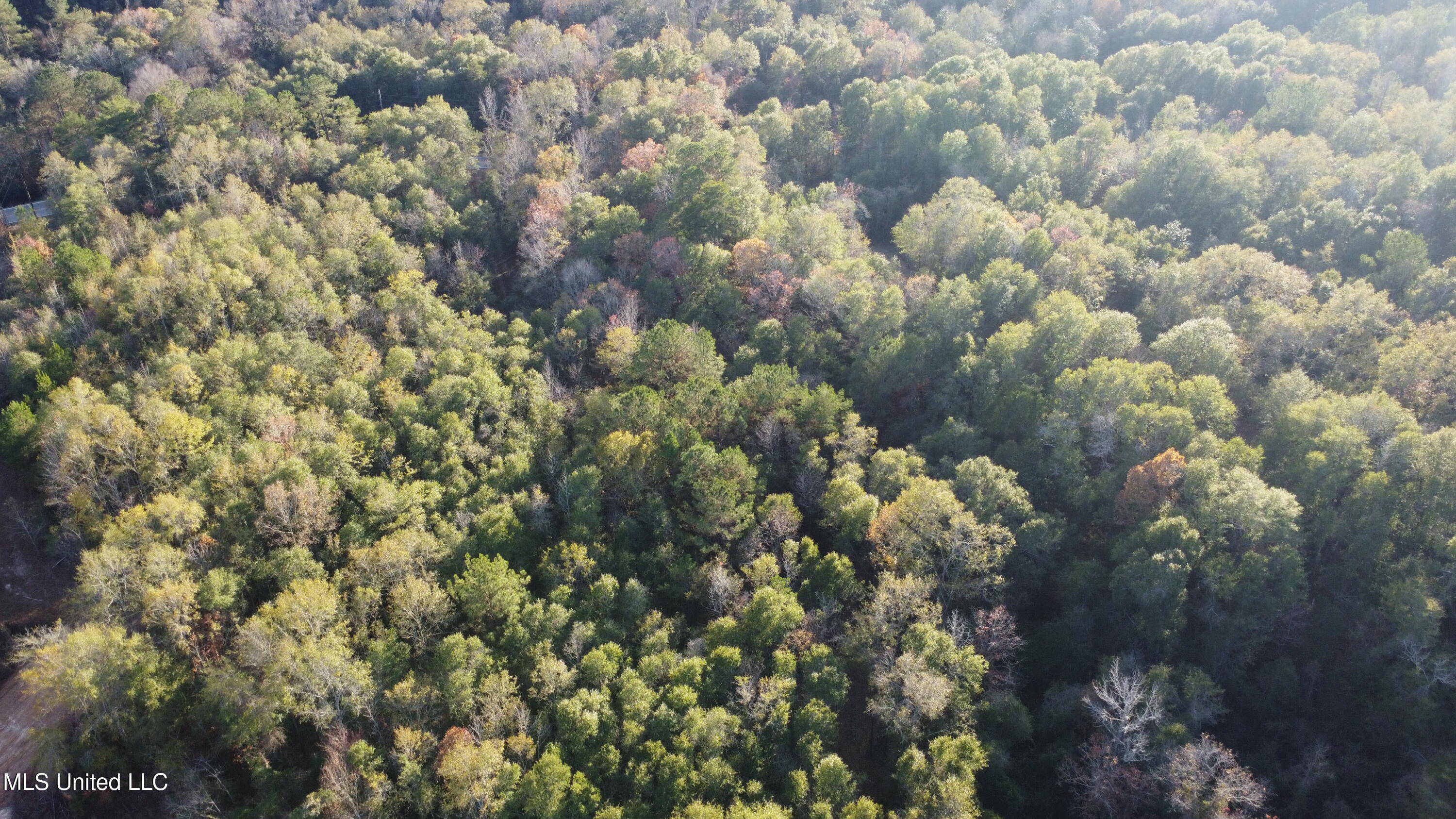 10 10 Mile Creek Road Foxworth, MS 39483 - Photo 43 of 101 DJI_0671